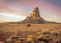 Kayenta Kayenta