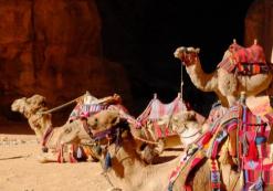 Petra