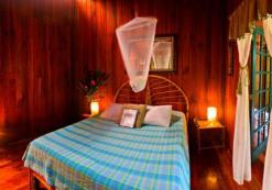 Banana Azul Kamer 1