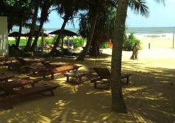 Beacon Beach Tuin