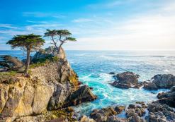 17-Mile Drive: van Carmel naar Monterey De 17-Mile Drive is een schilderachtige route die u onder anders langs de Lone Cypress Tree brengt. Het officiële symbool van Pebble Beach en een van de meest gefotografeerde bomen van Amerika. De boom bestaat al meer dan 250 jaar op deze rots. Verder rijdt u langs de kleurrijke Pacific Grove, Spanish Bay en vele prachtige uitkijkpunten.