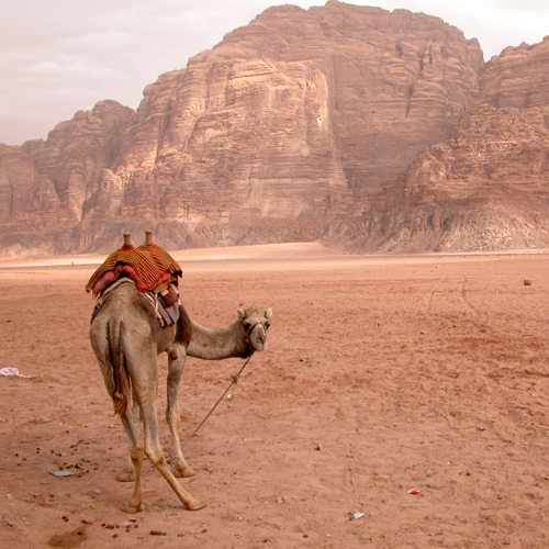 Wadi Rum