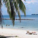 Strand Langkawi Maleisië