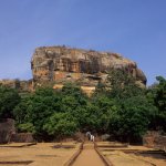 Leeuwenrots Sigiriya Sri Lanka