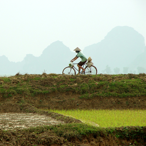 Fietser Vietnam