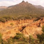 Landschap Hluhluwe/Umfolozi Nationaal Park Zuid-Afrika