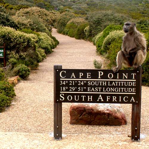 Kaap de goede Hoop Kaapstad Zuid-Afrika