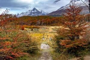Langs beverdammen naar de Emerald Lagoon 