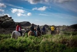 Paardrijden door Hveragerði