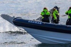 Walvistocht RIB Express