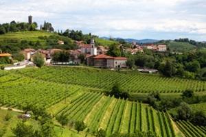 Brda-regio
