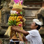 Fruithoed