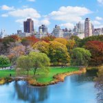 Central Park, New York