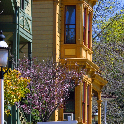 Gekleurde huizen, San Diego