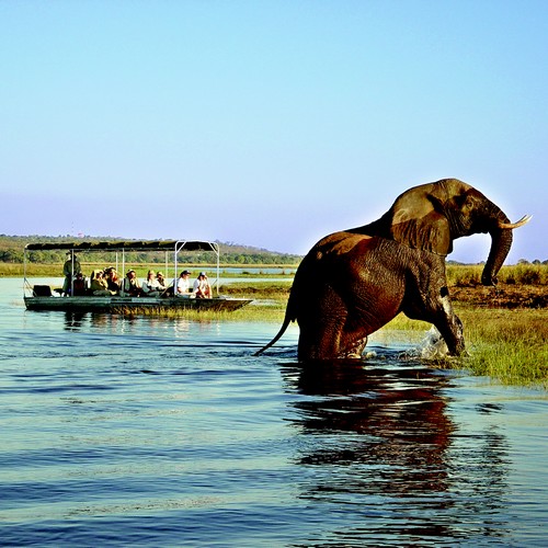 Chobe Camp