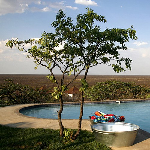 Etosha Safari Lodge