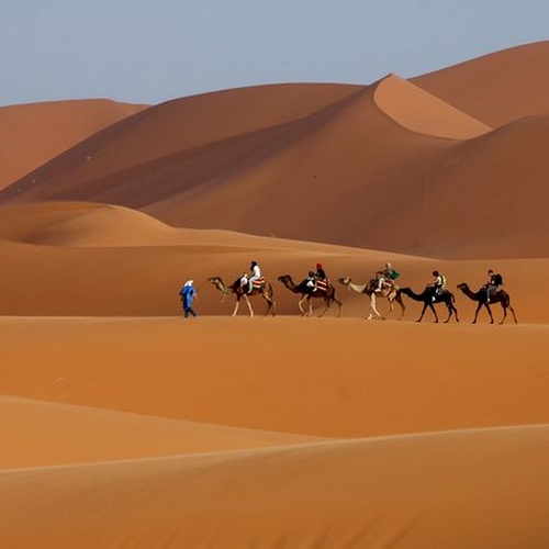 Kamelen in Merzouga