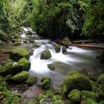 Rinc&oacute;n de la Vieja Nationaal Park