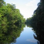 Tortuguero Nationaal Park