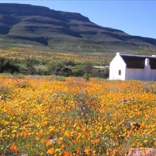 Clanwilliam