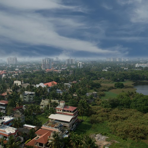 IN_AL_Cochin2