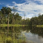 Chitwan Nationaal Park