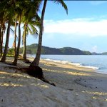 Palmbomen op het strand van Langkawi