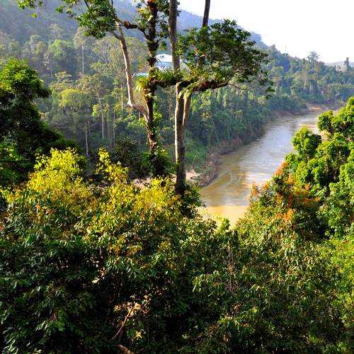 Taman Negara
