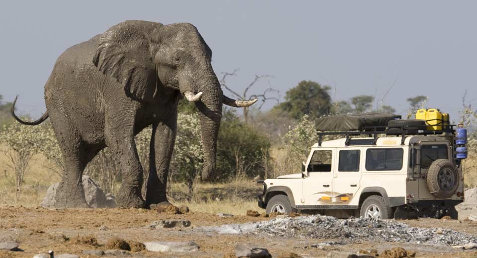 Chobe Nationaal Park