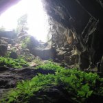 Phong Nha Grot