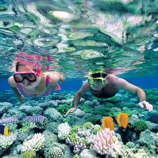 snorkelen Num Island