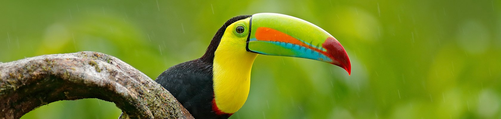 Rondreis Costa Rica