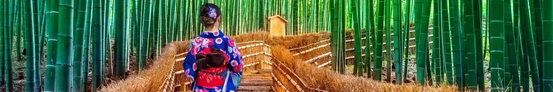 Het Beste van Japan incl. Hokkaido