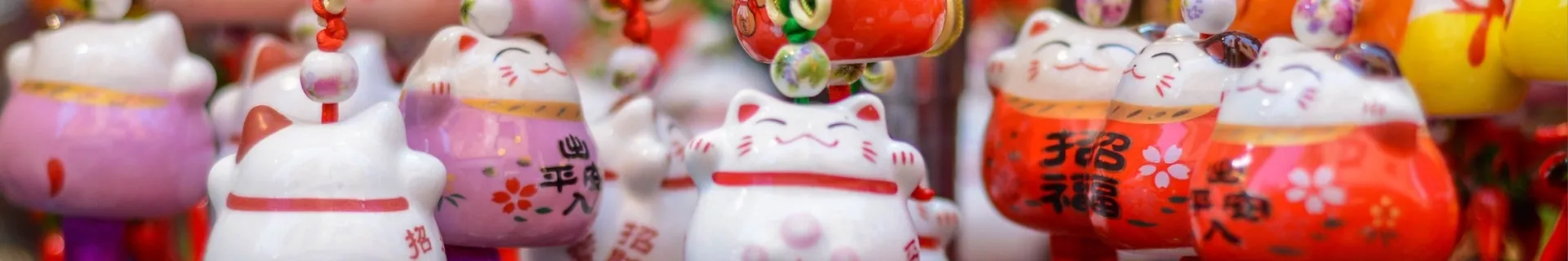 Familiegroepsreis Beste van China