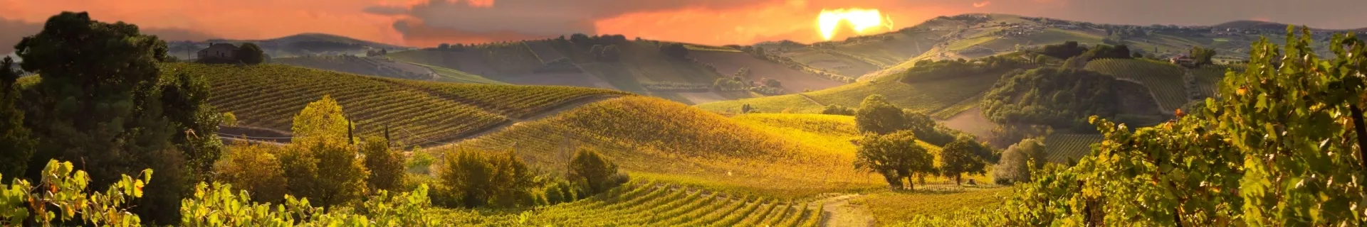 Toscane, Italië 