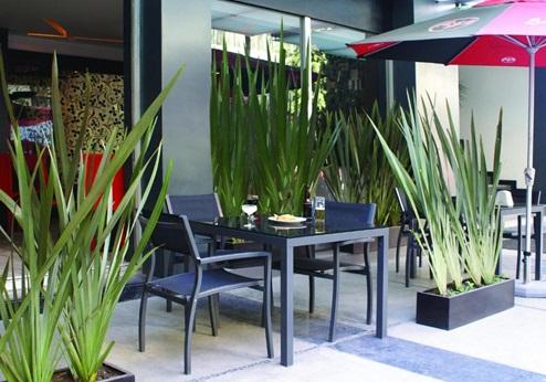 Hotel Regente, terras