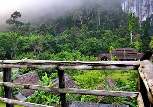 The Cliff & River Jungle Resort & Spa, omgeving
