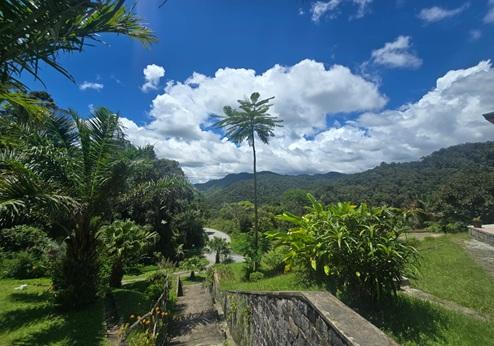 Setam Lodge, tuin