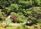 Sekisho-in, tuin