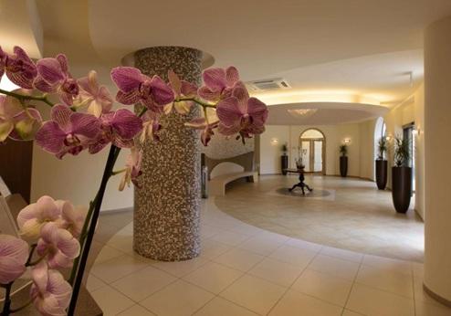 Park Hotel San Severino, entree