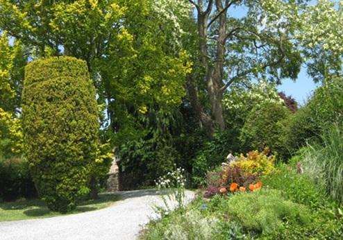 Orchard Guesthouse B&B, tuin