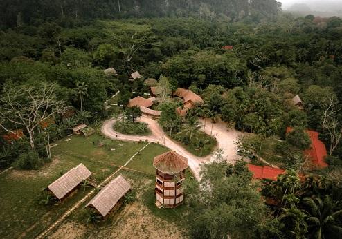 Our Jungle Camp