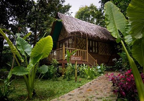 Our Jungle Camp