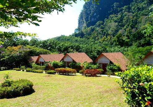 Cliff & River Jungle Resort & Spa, omgeving