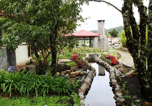 El Oasis Hotel, tuin