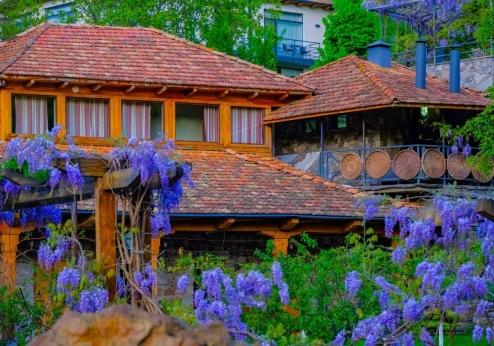 Vardzia Resort, tuin