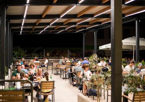 Hotel Alp, terras