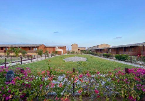 Turtle Beach Resort, tuin