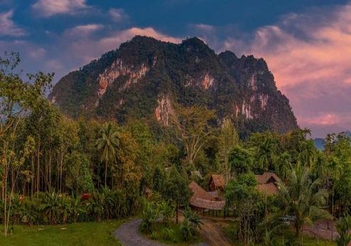 Our Jungle Camp