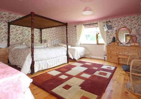 Mount Usher View B&B, kamer